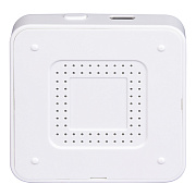 Купить Шлюз TEBO ZigBee ZW-HUB2